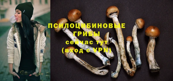хмурый Киренск