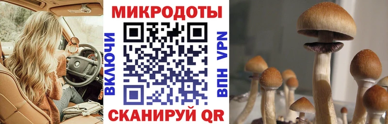 Псилоцибиновые грибы Magic Shrooms Карасук