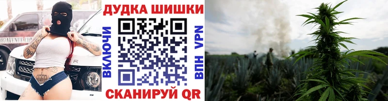 Канабис конопля  Купить где  Карасук 